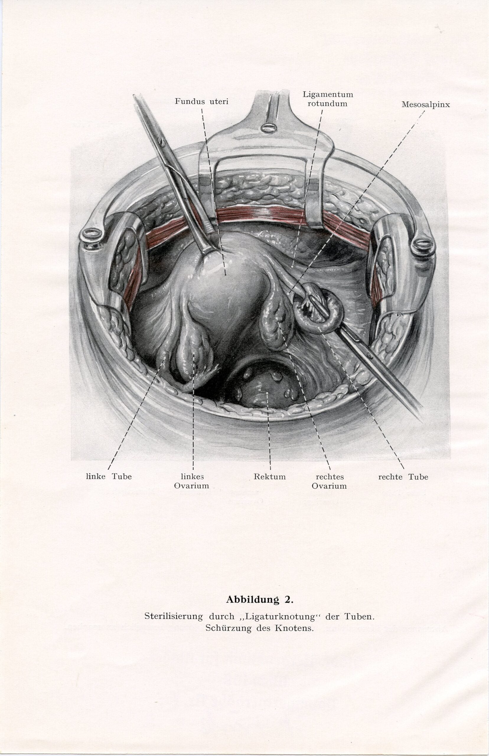 12 Copy of Pamphlet Image 2 – Kenyon